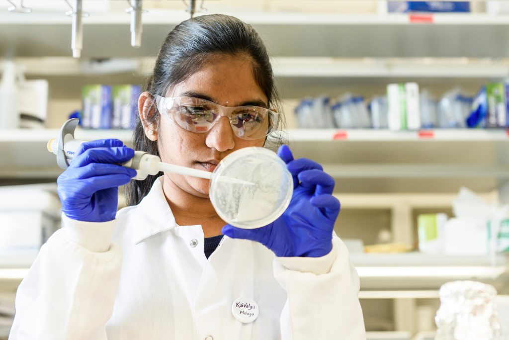 Biochemistry Research Program