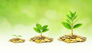Investment 