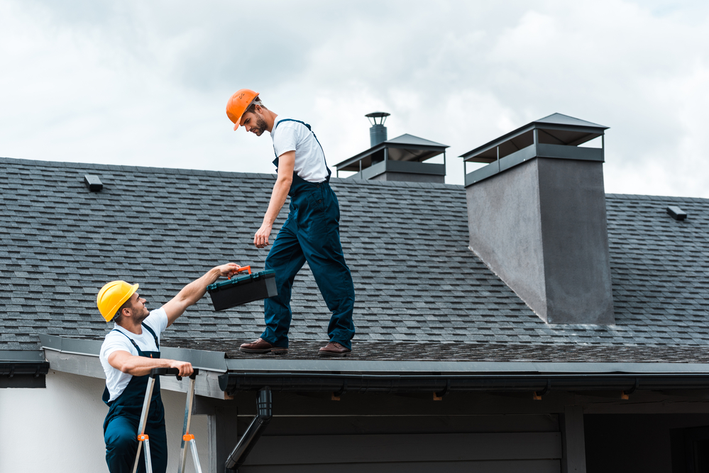 Professional Roofing Contractors